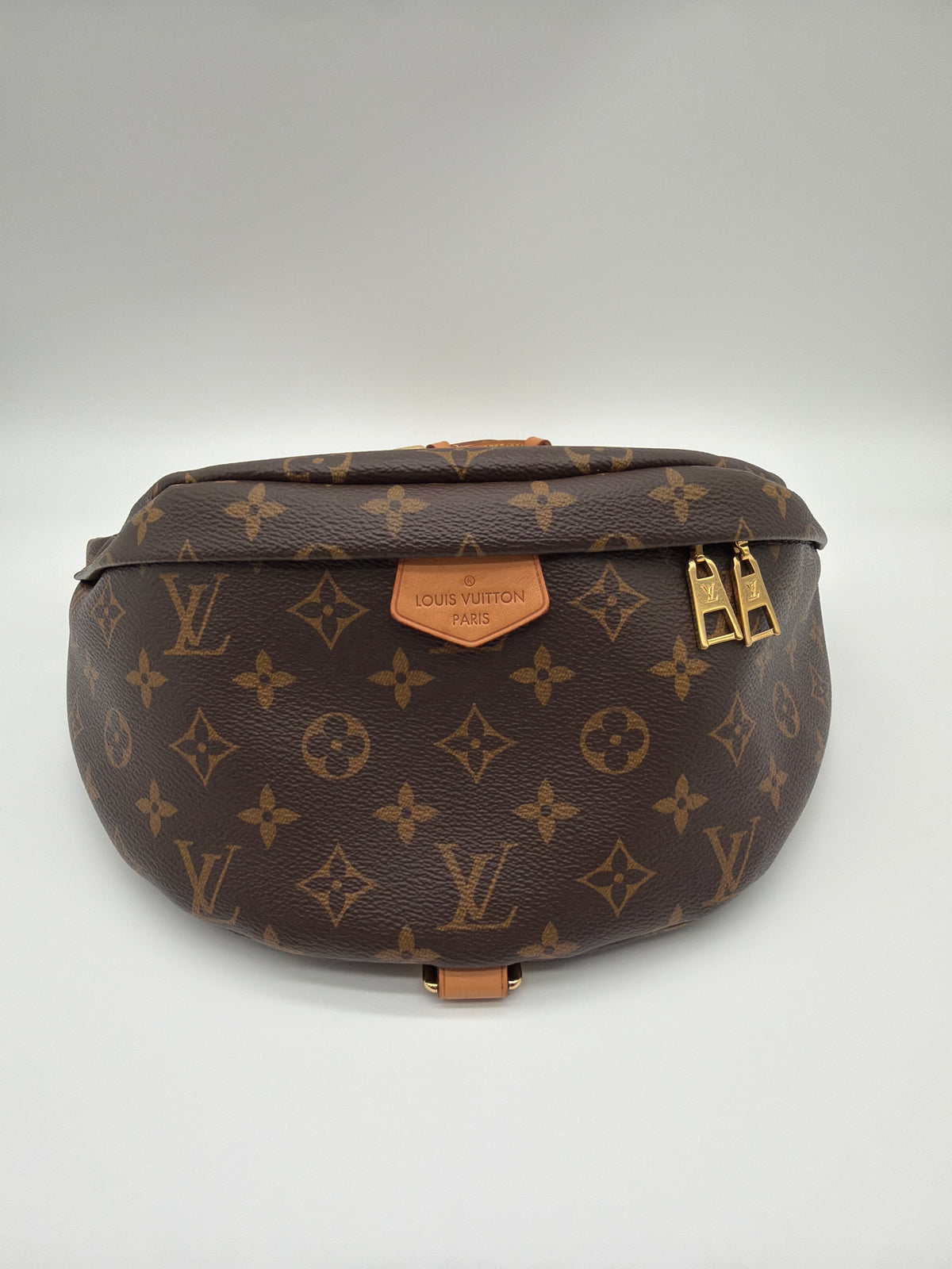 Louis Vuitton Monogram Bumbag image 1