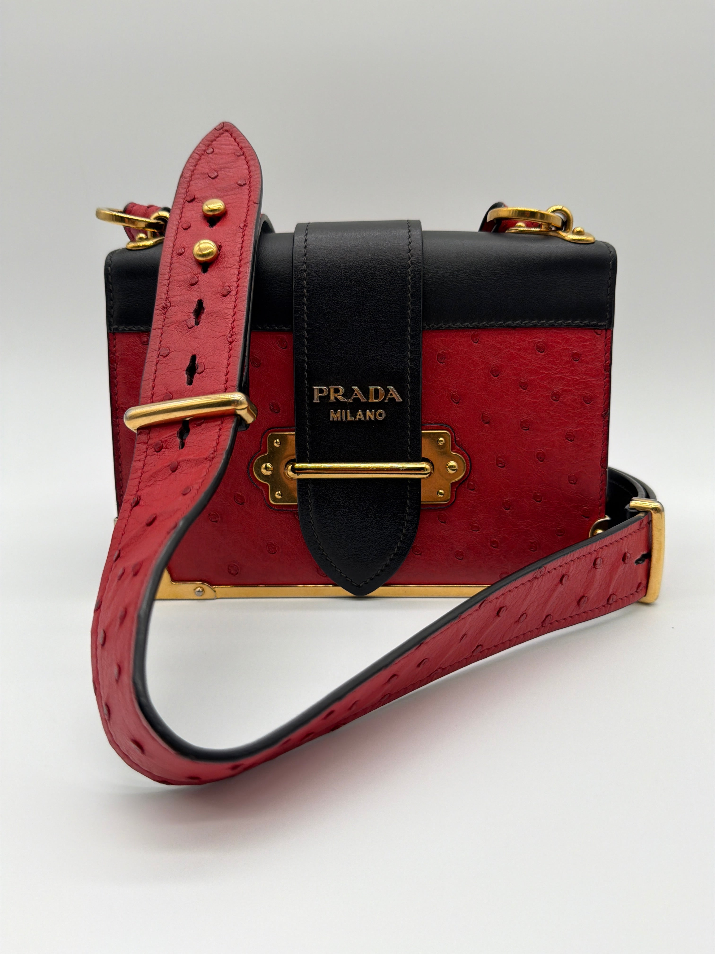 Prada City Calfskin Ostrich Cahier Bag in Fuoco and Black — image 1
