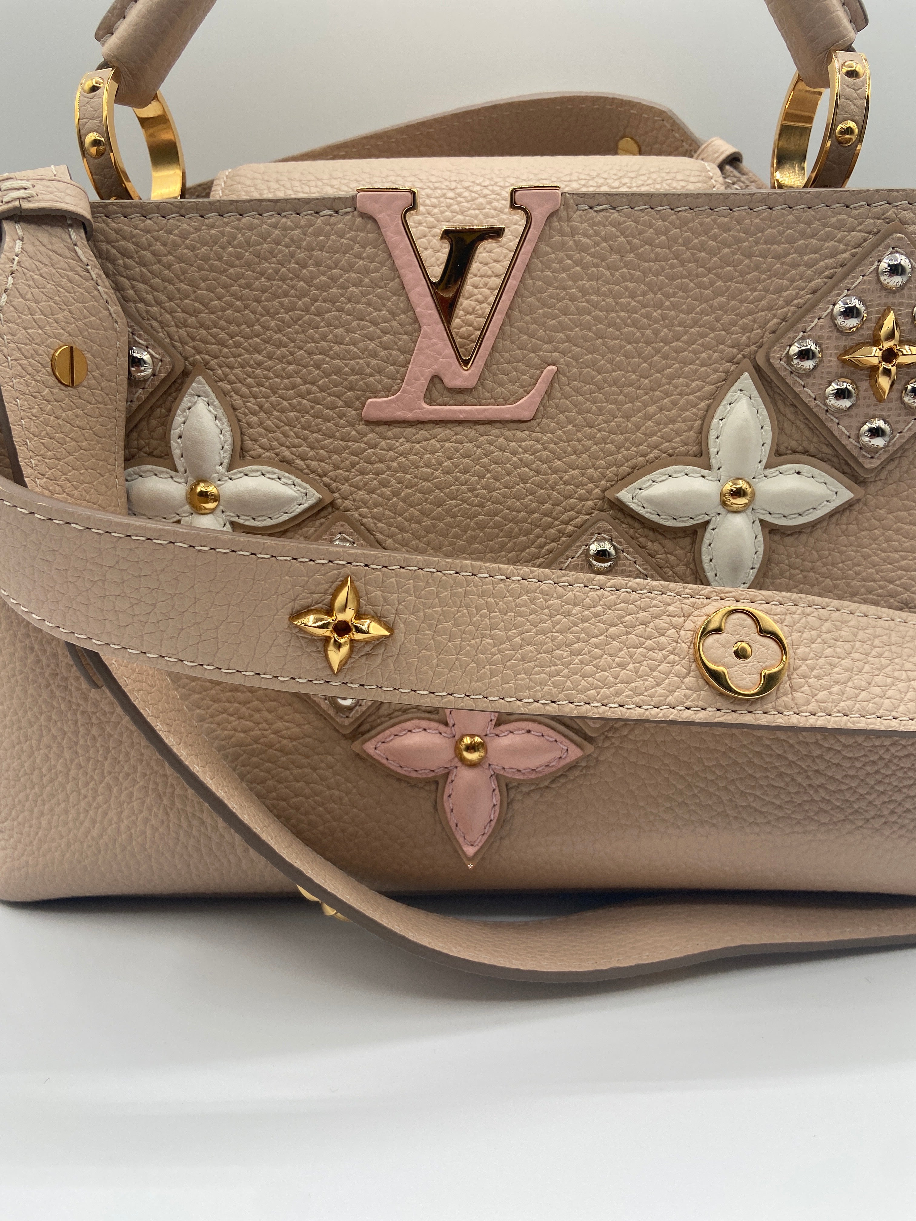 Louis Vuitton Capucines Taurillon Mechanical Flowers Smile – Entrupy Certified