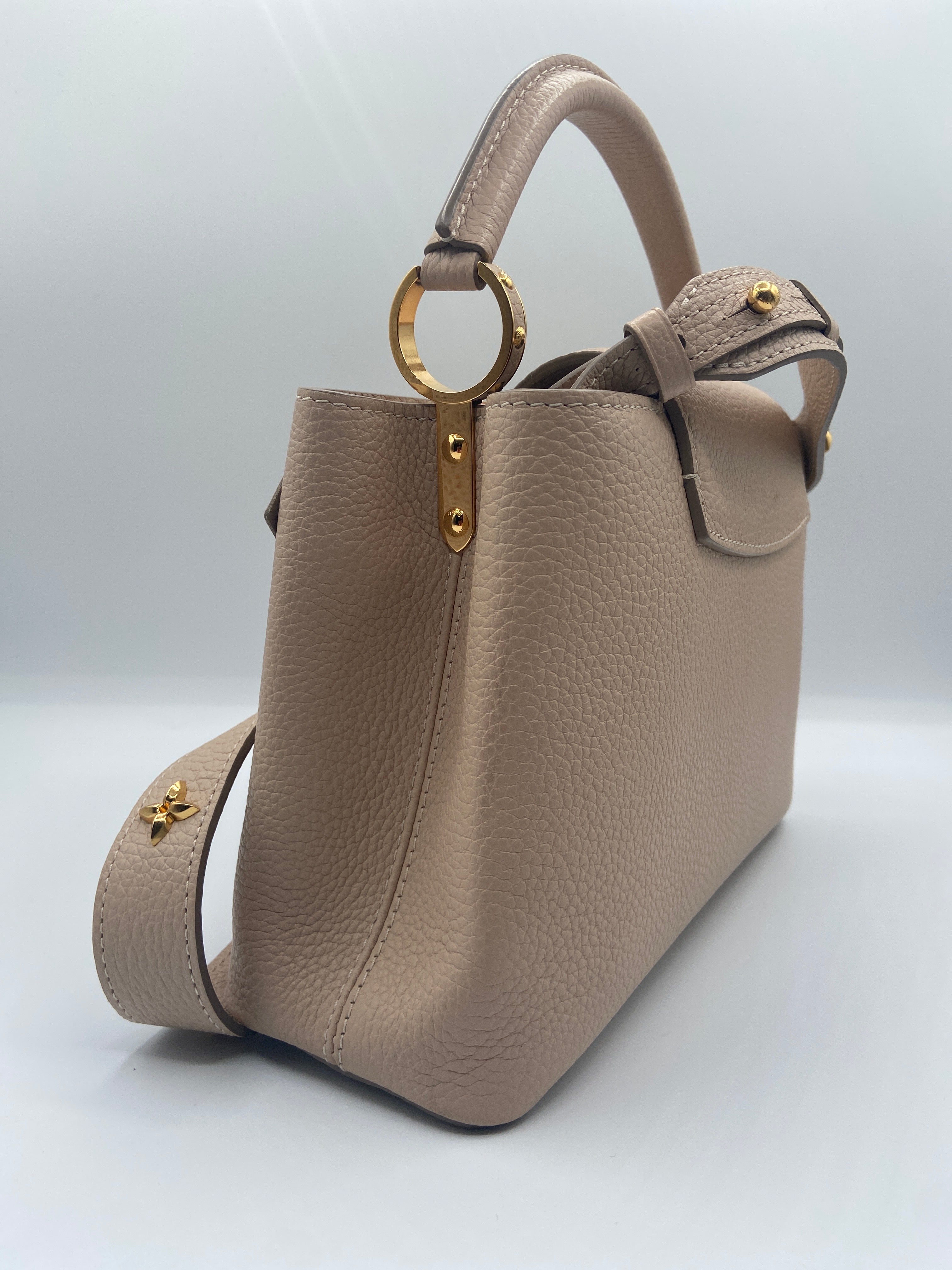 Louis Vuitton Capucines Taurillon Mechanical Flowers Smile – Entrupy Certified