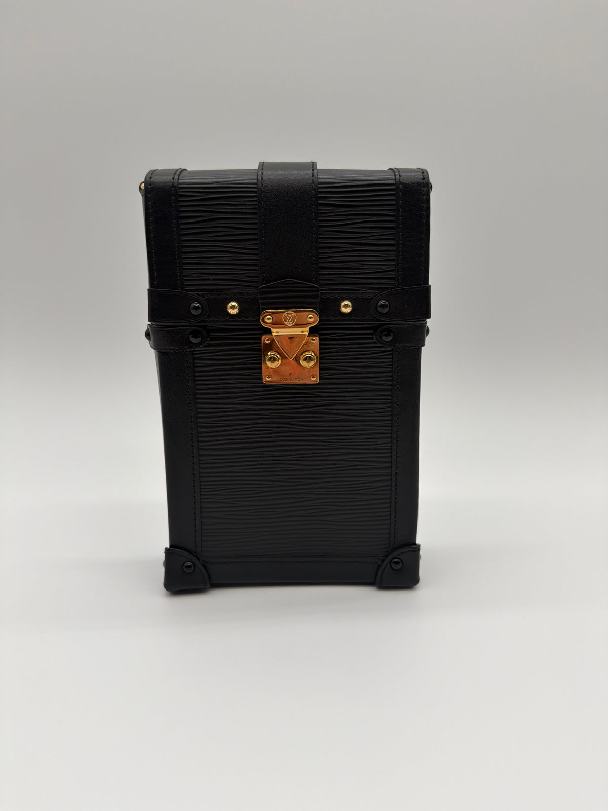Louis Vuitton Pochette Trunk Vertical image 1