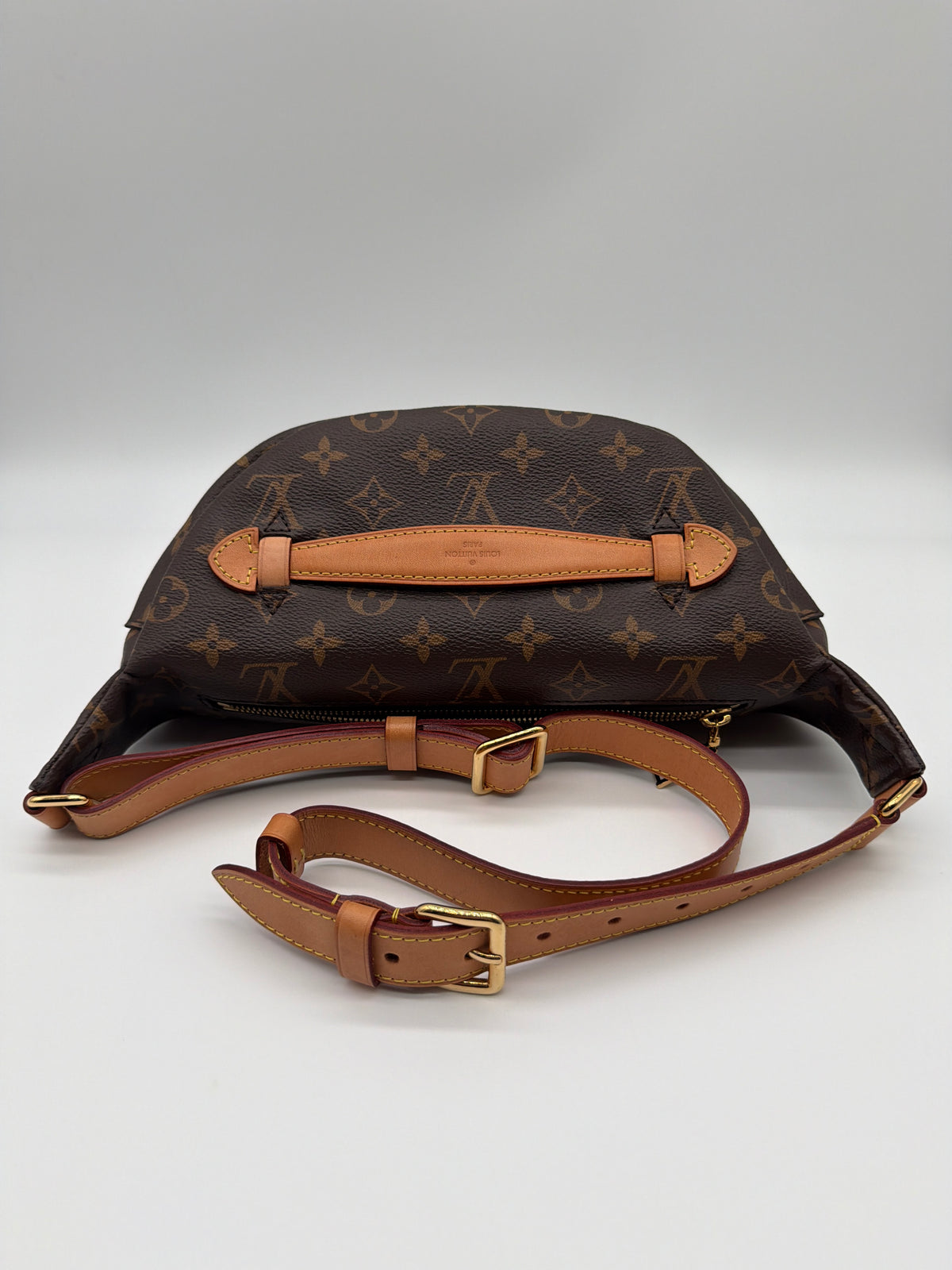 Louis Vuitton Monogram Bumbag  image 2