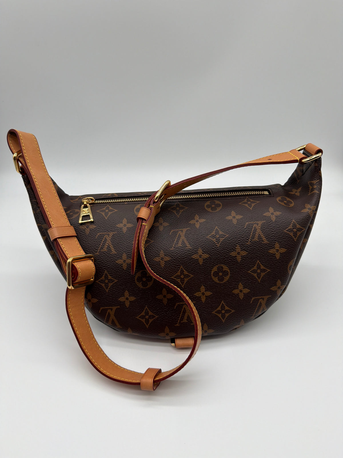 Louis Vuitton Monogram Bumbag  image 3