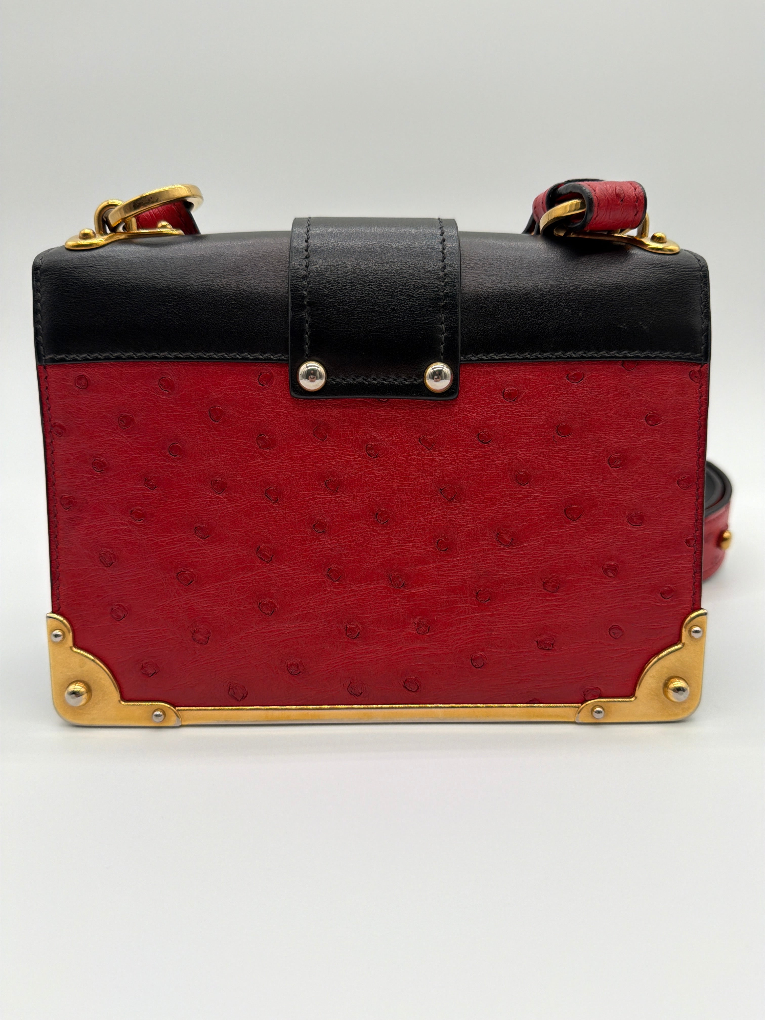 Prada City Calfskin Ostrich Cahier Bag in Fuoco and Black — image 4